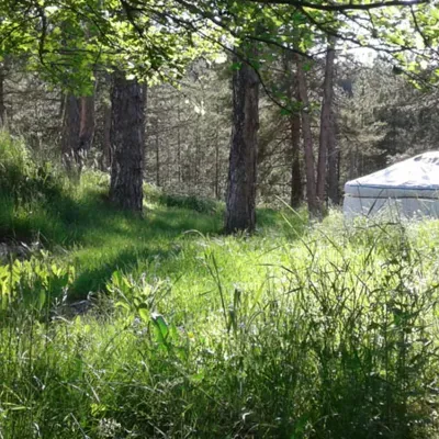 Vacances dans la Nature près de Mison