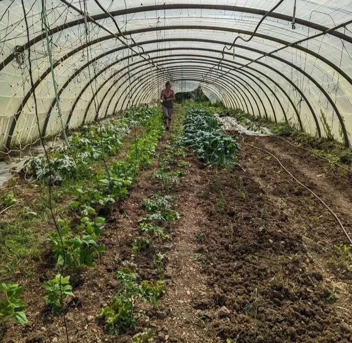 Produits Locaux Artisanaux près de Mison